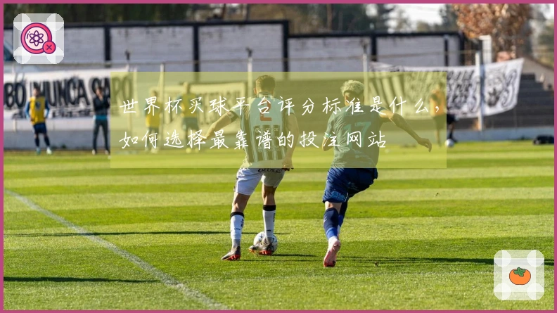 世界杯买球平台评分标准是什么，如何选择最靠谱的投注网站