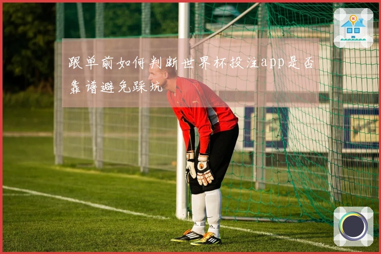 跟单前如何判断世界杯投注app是否靠谱避免踩坑