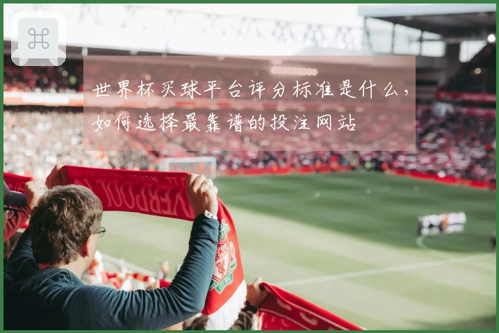 世界杯买球平台评分标准是什么，如何选择最靠谱的投注网站