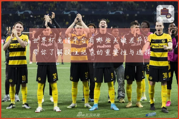世界杯竞猜平台有哪些关键差异？带你了解投注记录的重要性与选择标准